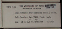 Image Associated With the Occurence